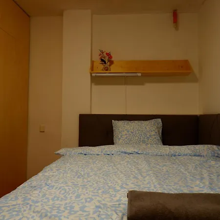Apartmany Turgenevova - Olomoucka A Parkovani Brno Exterior photo