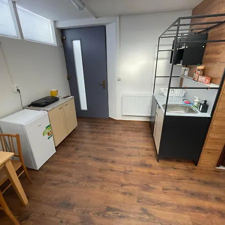 Apartmany Turgenevova - Olomoucka A Parkovani Brno Exterior photo