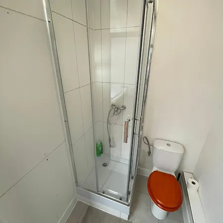 Apartmany Turgenevova - Olomoucka A Parkovani Brno Exterior photo